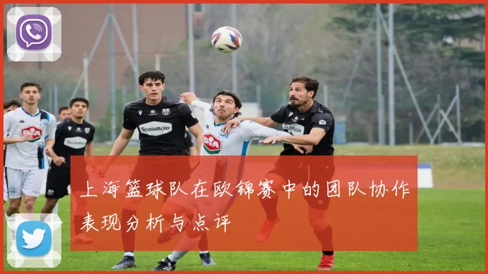 上海篮球队在欧锦赛中的团队协作表现分析与点评